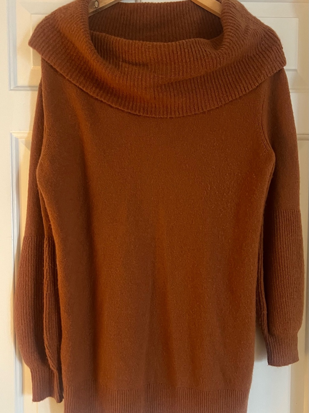 Anthropologie Rust Cowlneck Sweater